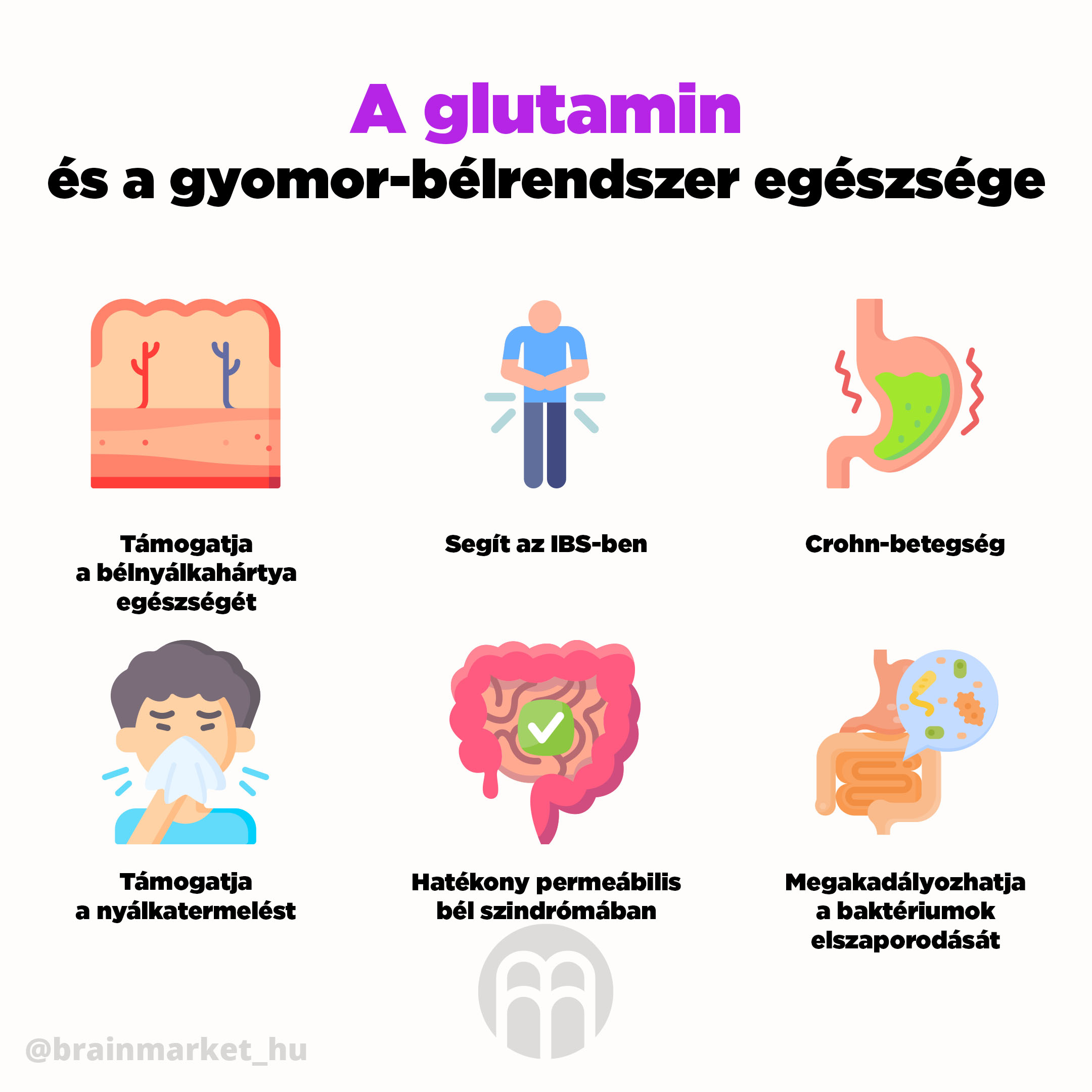 glutamin a gastro. zdravi infografika brainmarket hu